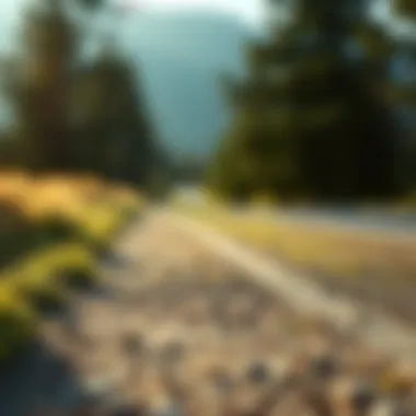 Magnificent Navigating Life's Path: Identifying Purpose and Direction
