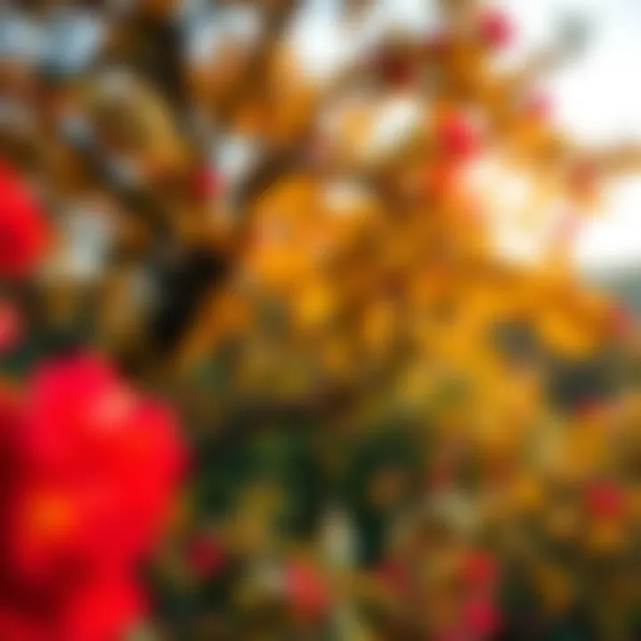 A peaceful nature scene with vibrant colors