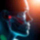 Anatomy of the sinuses and their relation to headaches