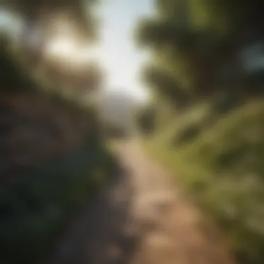 Pathway to Mental Wellness A serene landscape indicating mental peace and wellness