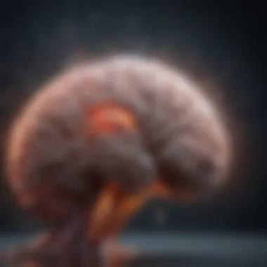 Neurological Impact of BAC Illustration showing the brain affected by different BAC levels