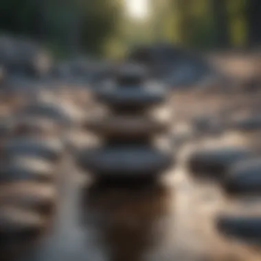 Harmony Within Chaos Balance Stones