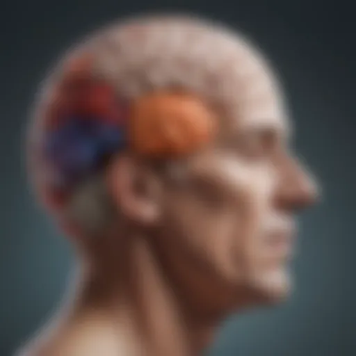 Illustration depicting brain functions affected by primary progressive aphasia