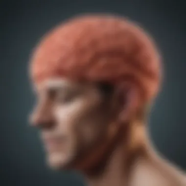 Inflammation and Depression Illustration depicting brain inflammation and its impact on mental health