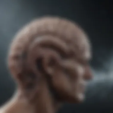 Diverse Brain Wave Frequencies Abstract representation of different brain wave frequencies