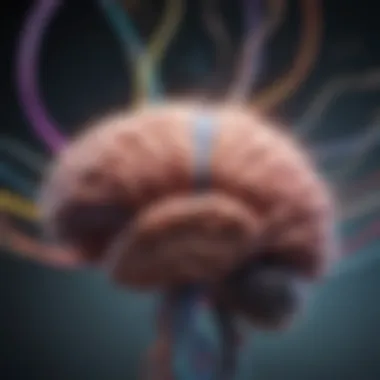 Spectrum of Brain Waves Illustration depicting brain waves in a vibrant spectrum