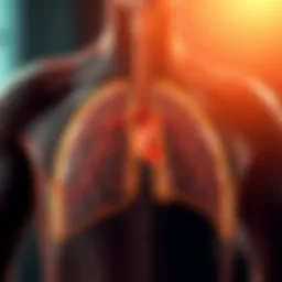 Illustration of the respiratory system showing airflow dynamics