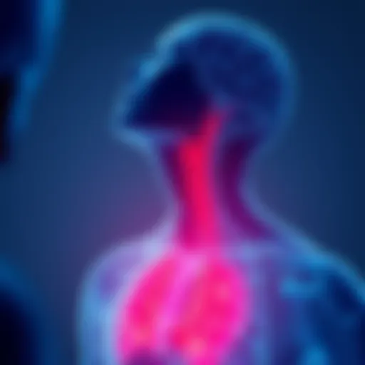 Mind-Body Connection Illustration depicting the mind-body connection in anxiety