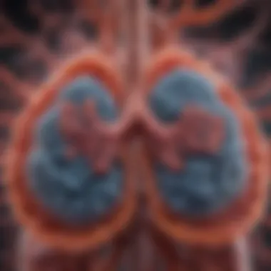 Revitalizing Lung Cells Illustration of Cellular Regeneration in Lungs