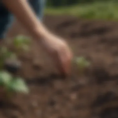 Illustration of a person planting seeds of hope and positivity during a charity walk
