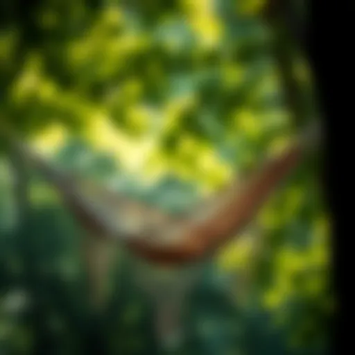 Choosing the Optimal Hammock for Tree Hanging Introduction
