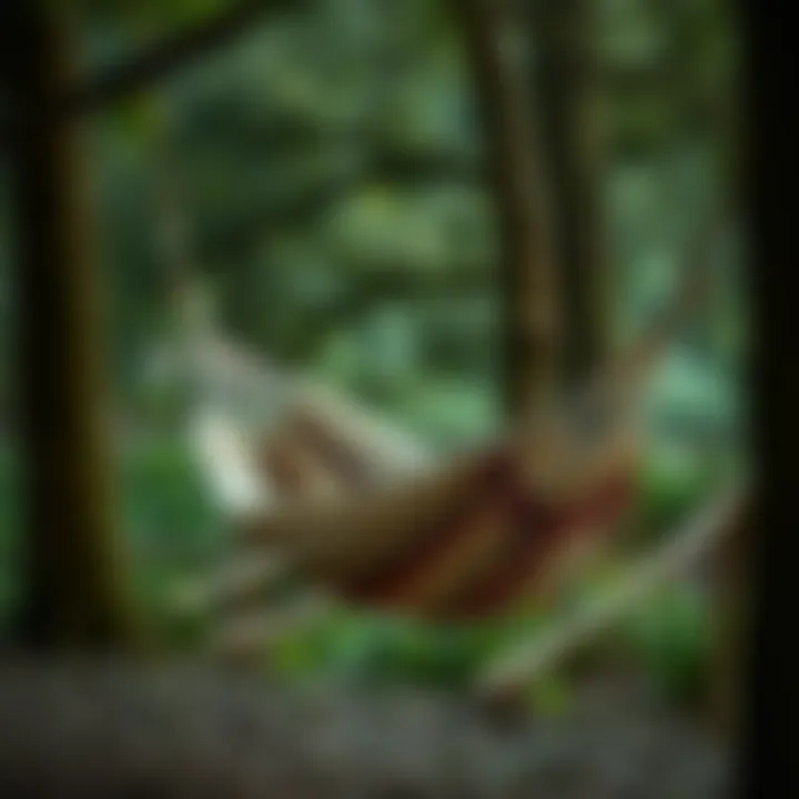 Notable Choosing the Optimal Hammock for Tree Hanging
