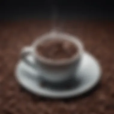 Neurotransmitter Regulation Coffee Beans and Neurotransmitters