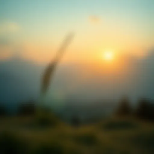 A serene landscape symbolizing recovery and hope