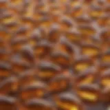 Close-up of fish oil capsules highlighting purity and dosage aspects