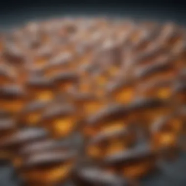 Sourcing of Fish Oil Supplements Visual representation of various sources of fish oil, including fish species