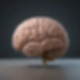 Illustration of brain activity related to attention deficit