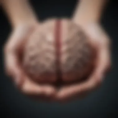 Female hand holding a brain illustration