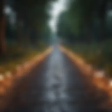 Enlightened Path: Enhancing Cognitive Function Illuminated pathway symbolizing memory improvement