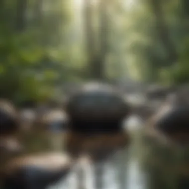 Serene Nature Scene Serene nature scene promoting relaxation and focus