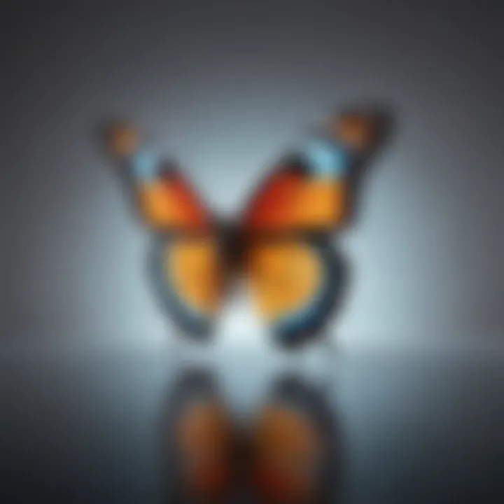 A colorful butterfly representing transformation and growth