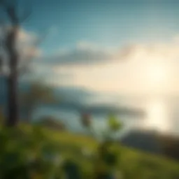 A tranquil landscape symbolizing mental peace