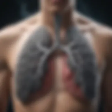 Purifying Lung Detox Illustration of Detoxification Process in Lungs