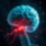 Brain's Response in Panic Attacks Illustration depicting the brain's response during a panic attack