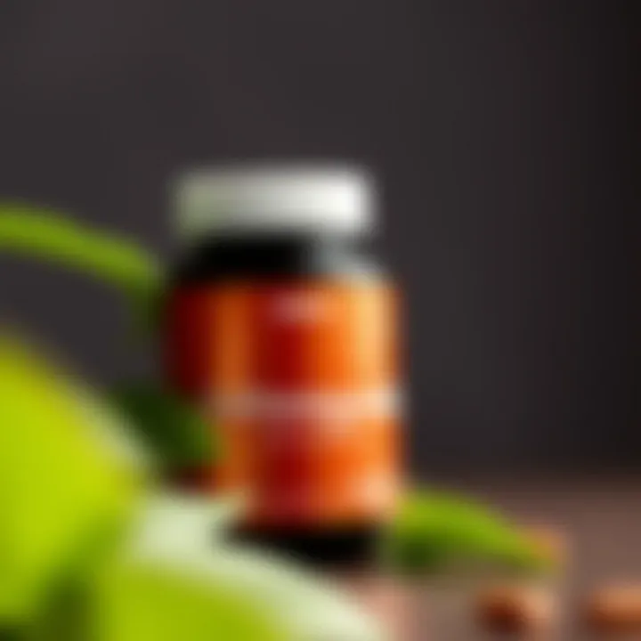 Ashwagandha and Its Role in Mental Wellness Visualization of mental wellness benefits