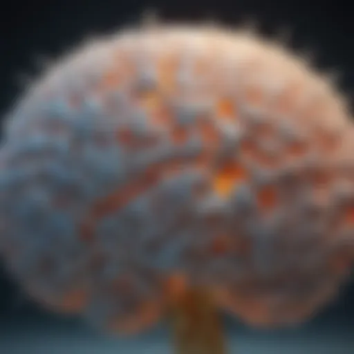 Dopamine receptor distribution in the brain