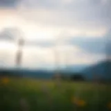 Serene landscape promoting calmness