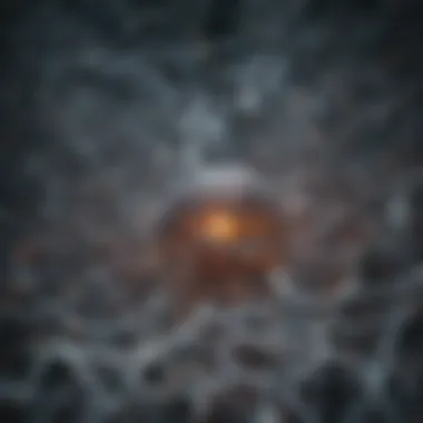 Neuronal Maze Maze of Neurons Illustration