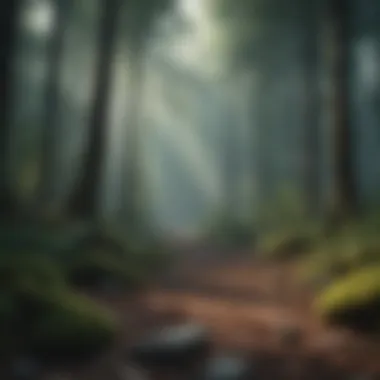 Mindful Meditation Forest Mindful Meditation Forest Illustration