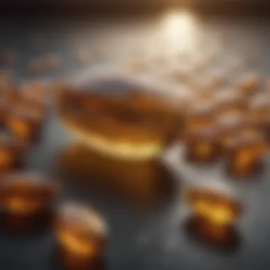 Evaluating the Optimal Fish Oil Capsule: A Comprehensive Guide Summary Evaluating the Optimal Fish Oil Capsule: A Comprehensive Guide Summary