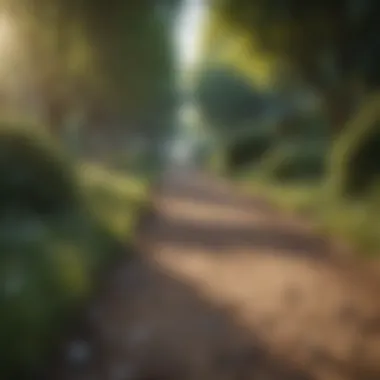 Pathway to Mental Wellness Visualization of expert guidance for mental health