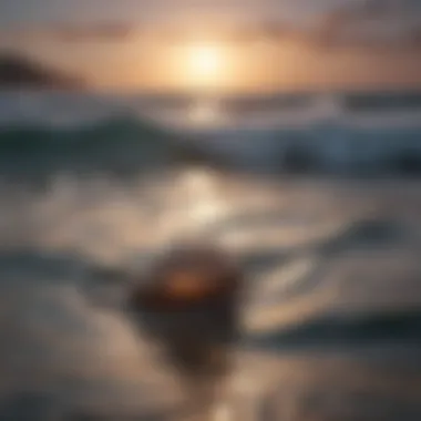 Serenity in Sound Waves Serenity in Sound Waves