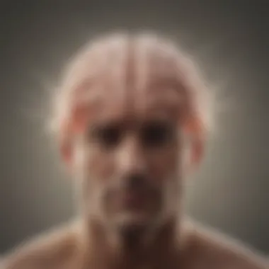 The Science of Calm: Brain Activity in Meditation An illustration of brain waves during meditation