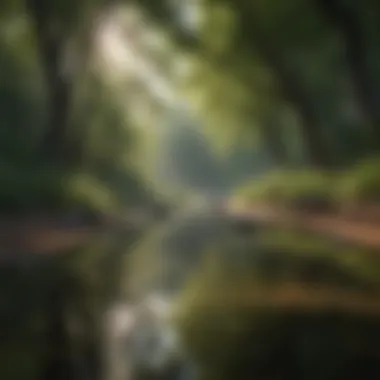 Serenity in Nature: The Ideal Setting for Mindfulness A serene outdoor space for meditation