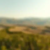 Calm landscape symbolizing tranquility