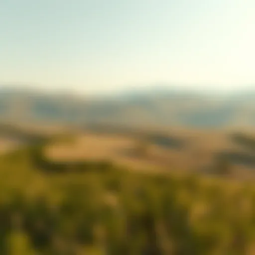 Calm landscape symbolizing tranquility