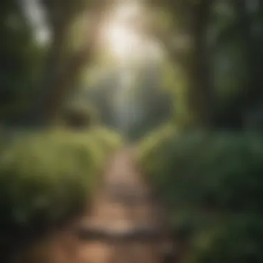 Nature's Embrace: A Path to Inner Peace Tranquil nature scene promoting relaxation
