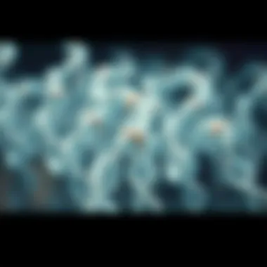 Genetic connections to alcoholism