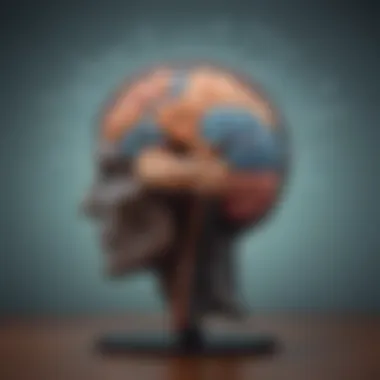 A brain illustration highlighting cognitive functions