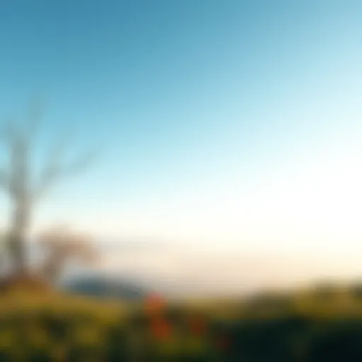 A serene landscape symbolizing mental tranquility