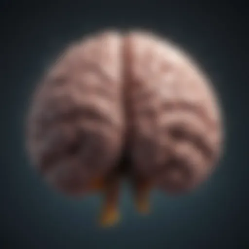 Illustration of brain activity related to mood stabilization