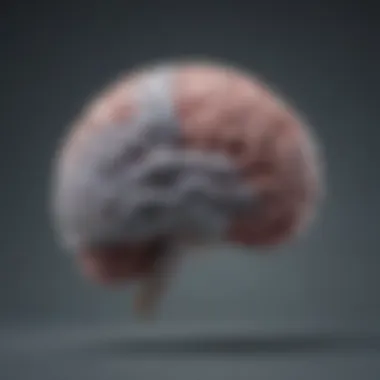 Understanding the Brain's Response to Nootropics An illustration of a brain with highlighted areas affected by nootropics