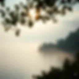 A serene landscape symbolizing tranquility and introspection.