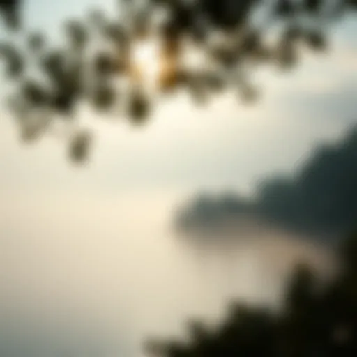 The Journey Within: Finding Peace A serene landscape symbolizing tranquility and introspection.