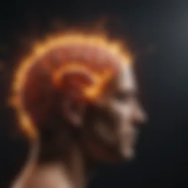 The Intricate Dance of Vitamin D and Brain Function Brain on Fire