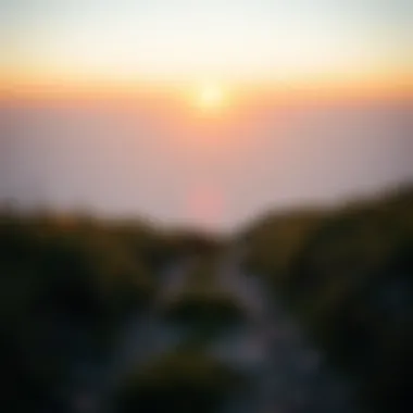 Path to Personal Growth A serene landscape with a path leading to a horizon symbolizing personal growth